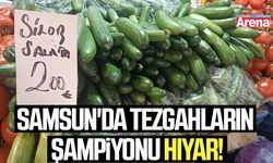 Samsun'da tezgahların şampiyonu hıyar!
