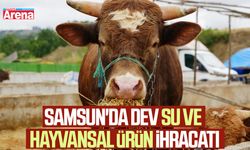 Samsun'da dev su ve hayvansal ürün ihracatı