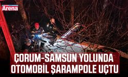 Çorum-Samsun yolunda otomobil şarampole uçtu