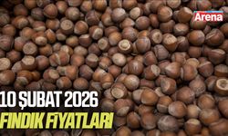 10 Şubat 2026 güncel fındık fiyatları