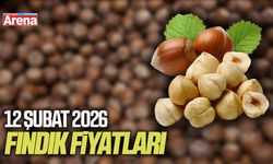 12 Şubat 2026 güncel fındık fiyatları
