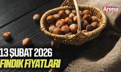 13 Şubat 2026 güncel fındık fiyatları