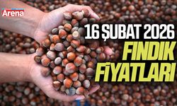 16 Şubat 2026 güncel fındık fiyatları