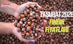 17 Şubat 2026 güncel fındık fiyatları