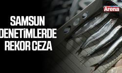Samsun denetimlerde rekor ceza
