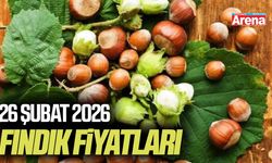 26 Şubat 2026 güncel fındık fiyatları