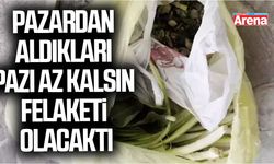 Pazardan aldıkları pazı, az kalsın felaketi olacaktı