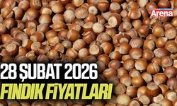 28 Şubat 2026 güncel fındık fiyatları