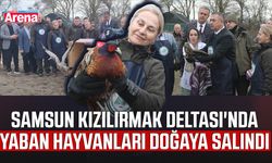 Samsun Kızılırmak Deltası'nda yaban hayvanları doğaya salındı