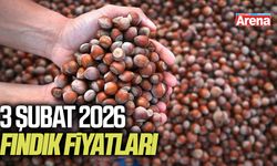 3 Şubat 2026 fındık fiyatları açıklandı