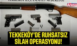Tekkeköy'de ruhsatsız silah operasyonu!