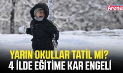 Yarın okullar tatil mi? 27 Şubat'ta 4 ilde eğitime kar engeli
