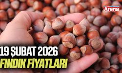 19 Şubat 2026 güncel fındık fiyatları