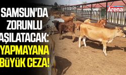 Samsun'da zorunlu aşılatacak: Yapmayana büyük ceza!