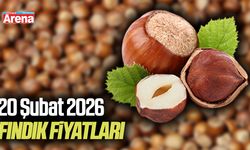 20 Şubat 2026 güncel fındık fiyatları
