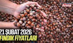 21 Şubat 2026 il il güncel fındık fiyatları
