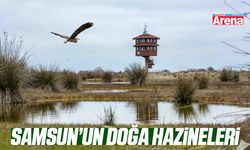 Samsun’un doğa hazineleri