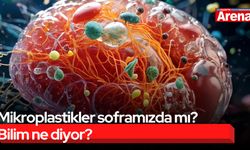 Mikroplastikler soframızda mı? Bilim ne diyor?