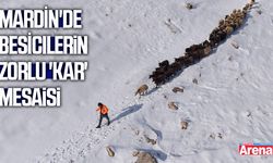 Besicilerin zorlu 'kar' mesaisi