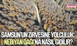 Samsun’un zirvesine yolculuk: Nebiyan Dağı’na nasıl gidilir?