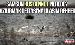 Samsun Kuş Cenneti nerede? Kızılırmak Deltası’na ulaşım rehberi
