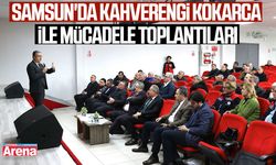 Samsun'da kahverengi kokarca ile mücadele toplantıları