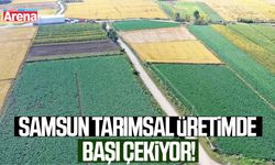 Samsun tarımsal üretimde başı çekiyor!