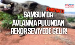 Samsun’da avlanma pulundan rekor seviyede gelir!