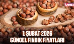 1 Şubat 2026 güncel fındık fiyatları