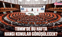 TBMM'de bu hafta hangi konular görüşülecek?
