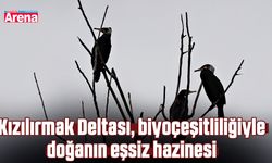 Kızılırmak Deltası, biyoçeşitliliğiyle doğanın eşsiz hazinesi