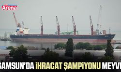 Samsun'da ihracat şampiyonu meyve