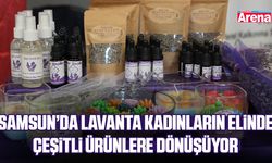 Samsun'da lavantadan yağ, mum ve kolonya yapılıyor