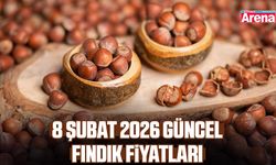 8 Şubat 2026 güncel fındık fiyatları belli oldu