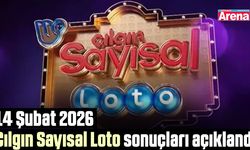 14 Şubat 2026 Çılgın Sayısal Loto sonuçları