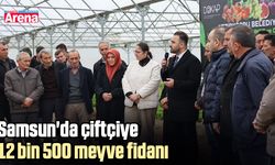 Samsun'da çiftçiye 12 bin 500 meyve fidanı