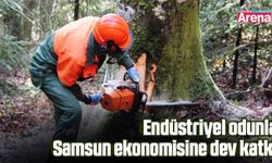 Endüstriyel odunla Samsun ekonomisine dev katkı