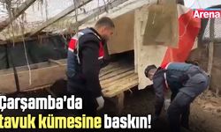 Çarşamba'da tavuk kümesine baskın! 2 gözaltı