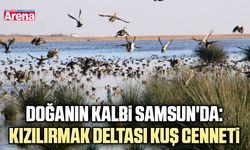 Doğanın kalbi Samsun'da: Kızılırmak Deltası Kuş Cenneti