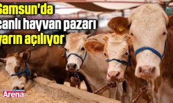 Samsun'da canlı hayvan pazarı yarın açılıyor
