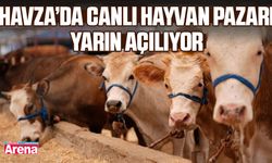 Havza'da canlı hayvan pazarı yarın açılıyor