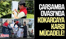 Çarşamba Ovası'nda kokarca karşı mücadele