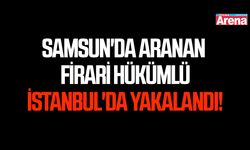 Samsun'da aranan firari hükümlü İstanbul'da yakalandı!