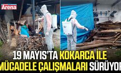 19 Mayıs’ta kokarca ile mücadele çalışmaları sürüyor