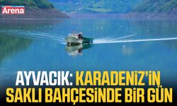 Ayvacık: Karadeniz’in saklı bahçesinde bir gün