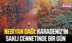 Nebiyan Dağı: Karadeniz’in saklı cennetinde bir gün