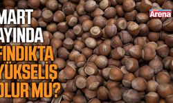 Mart ayında fındıkta yükseliş olur mu?