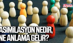 Asimilasyon nedir, ne anlama gelir?