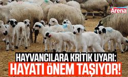 Hayvancılara kritik uyarı: Hayati önem taşıyor!