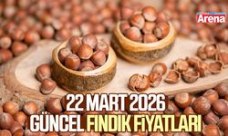 22 Mart 2026 güncel fındık fiyatları
